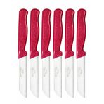 Solingen 6'lı Tırtıklı Meyve Bıçağı Seti, Paslanmaz Çelik, Ergonomik Kaymaz Sap, Ultra Keskin, Meyve ve Sebze için, 18 cm (PEMBE)