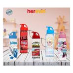 Solmazer 0,5 Lt Lisanslı Matara Cars Fuel