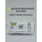 Solo Beyaz Sabun Ferahlığı Yüzey Temizlik Havlusu 100'lü 3 Paket