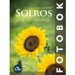 Solros: Över 100 HD-bilder