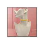 Somon Rengi Kadın Kadife Choker Kolye TYC00483981256
