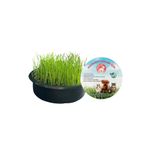 Sonrisa Pets Kedi ÇIMI(KAPSIZ)100 gr Tohum + 200 gr Toprak (3 Adet ve Üzeri Siparişe 1 Adet Kap ve File Hediye)