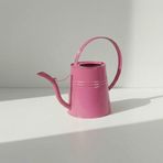 Sophia 2 Litre Metal Çiçek Saksı Sulama Kabı – Modern Dekoratif Çok Amaçlı Sulak (Pembe)