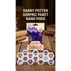 Sora Home Harry Potter Koleksiyonluk Sürpriz Figür Seti 2'li - Standart