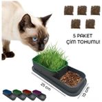 Sora Home Topraksız Kedi Çimi Kabı - Standart - Renkli