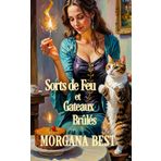 Sorts de Feu et Gâteaux Brûlés: Une série cosy mystery et paranormale (La Sorcière du Foyer, Band 1)