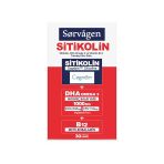 Sorvagen Sitikolin DHA Omega 3 ve B12 Takviye Edici Gıda 30 Kapsül