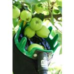sosto Meyve Toplayıcı, Limon, Elma Vb. Plastik Meyve Toplama Aparatı ATS003