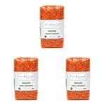 Soul Kitchen Organik Kırmızı Mercimek 750 gr (3 paketi)