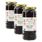 Soul Kitchen Organik Siyah Zeytin 310gr (3 paketi)