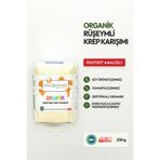 Soul Kitchen Organik Ürünler Organik Sertifikalı Rüşeymli Krep Karışımı Katkısız Doğal 250 g