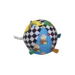 Sozzy Toys SZY222 Renkli Oyuncak Top