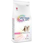 Spectrum Kitten 38 Yavru Kedi Maması 4 kg Açık