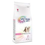 Spectrum Kitten38 Tavuklu Yavru 2 kg Kedi Maması