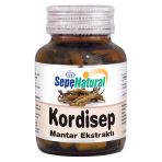 Spn Kordısep Mantarı 90 Kapsul X 430Mg
