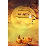 Spooky Scribbles: A Hauntingly Fun Halloween Notebook: A Creepy-Cool Place for Notes, Doodles, and Halloween Magic, Forest Moon Cover