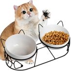 Sporgo Yükseltilmiş kedi kabı, yükseltilmiş geniş kedi mama kabı, kedi mama istasyonu, seramik kedi mama kabı, kedi yükseltilmiş, 15° eğimli mama kabı, kedi ve köpekler için tutuculu (Golden A)