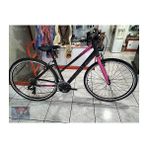 Sportıve 322 28 Jant 21-Vites Kadın Şehir Bisikleti Mat Mürdüm-Pembe 40 cm - Mat Mürdüm - Pembe