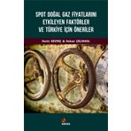 Spot Doğal Gaz Fiyatlarını Etkileyen Faktörler Ve Türkiye İçin Öneriler - Deniz Sevinç