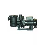 Spp Superpool Superpool 2 Hp Trifaze Scpa Serisi Havuz Pompası