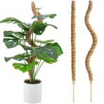 Springen 2 Paket 23,6 inç Bitkiler için Bükülebilir Yosun Direği Monstera, Sphagnum El Yapımı İnce Orman Yosun Çubuğu, Tırmanma Bitkileri Büyümesi için Bitki Destek Kazıkları