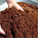 Sprout Store Toprağı 20 Lt Yerli Torf Saksı Toprağı Bitki Toprağı Torf Perlit Karışımlı Torf Bahçe Toprağı
