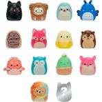 Squishmallows Squish-A-Longs 14 Figür + Yüzük Set Seri 1 AL0029 - Renkli