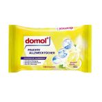 SR12060852 Domol Yüzey Temizleme Mendili Limon Kokulu 50'li