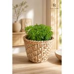 SS ERAL KOOP Dekoratif Merdiven El Örmesi Saksı Sepet Hasır Balkon Salon Mutfak 17x21 cm