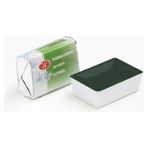 St.Petersburg 2,5 ml 716 Sap Green White Nights Tam Tablet Suluboya