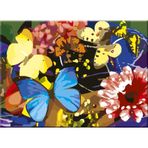 St.Petersburg 30x40 cm Butterflies 141755 Desenli Tuval