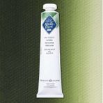 St.Petersburg Master Class 46 ml S:1 Sap Green 716 Yağlı Boya