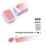 St.Petersburg White Nights Extra-Fine Tam 2.5 ml Mokko 433 Tablet Sulu Boya
