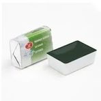 St.Petersburg White Nights Extra-Fine Tam 2.5 ml Sap Green 716 Tablet Sulu Boya