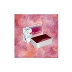 St. Petersburg White Nights Metamorphosis Tablet Sulu Boya 3002 Rose Dream