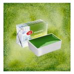 St. Petersburg White Nights Metamorphosis Tablet Sulu Boya 777 Green Dream