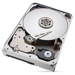 St12000vn0008 12Tb 3.5 7200Rpm 256Mb Sata3 Ironwolf Nas Dahili Harddisk