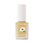 ST24070277 Pastel Oje No: 411