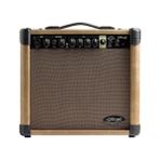 STAGG 20 AA RS Bağlama Amplifikatör