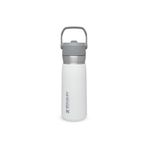 Stanley 0.65 Lt The Iceflow Pipetli Paslanmaz Çelik Soğuk Su Termosu