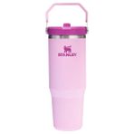 Stanley 10-12043-078 Pembe The Iceflow Flip Straw Tumbler 0.89 lt Unisex Outdoor Pipetli Termos