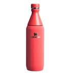 Stanley 10-12069-120 The All Day Slim 0.6 lt Kırmızı Soğuk Su Termos