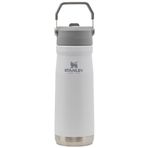 Stanley IceFlow Paslanmaz Çelik Pipetli Su Şişesi, Vakum Yalıtımlı Su Şişesi, Ev ve Ofis için, Hasır Sızdırmaz Kapaklı Yeniden Kullanılabilir Bardak, Polar, 22 oz
