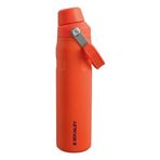 Stanley The Aerolight Iceflow Tigerlily 600 ml Soğuk Su Termosu