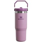 Stanley The Iceflow Flip Straw 0.89 lt Lila Pipetli Termos Bardak