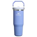 Stanley The IceFlow Flip Straw Eflatun 0.89 lt Pipetli Termos