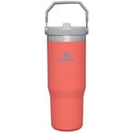 Stanley The Iceflow Flip Straw Pipetli 0.89 lt Termos