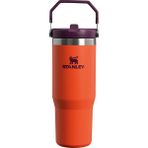 Stanley The IceFlow Flip Straw Pipetli 0.89 lt Turuncu Termos Bardak