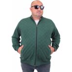 Starbattal Büyük Beden Fermuarlı Hırka Nefti Uzun Kol %50 Pamuk %50 Poly Diamond 23281 - 4XL