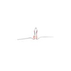 Starklips Dipsiz Ampul Telli Küçük 12V 1,2W 5 Adet